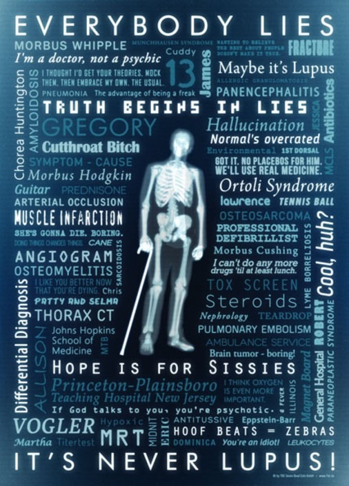 House Poster und Leinwand fürs Zuhause (englisch) 1 Poster Begriffe aus Dr. House