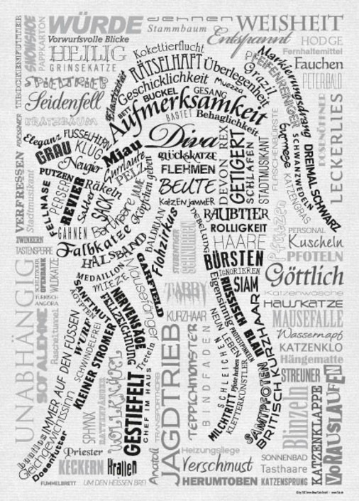 Katzen Poster und Leinwand für Katzenfreunde 1 Poster Katzenrassen