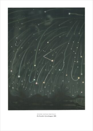 Étienne Léopold Trouvelot, Die November-Sternschnuppen (November Meteors), 1868/1881 – Vintage-Astronomie als Poster und Leinwand